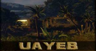 UAYEB PC Game Free Download